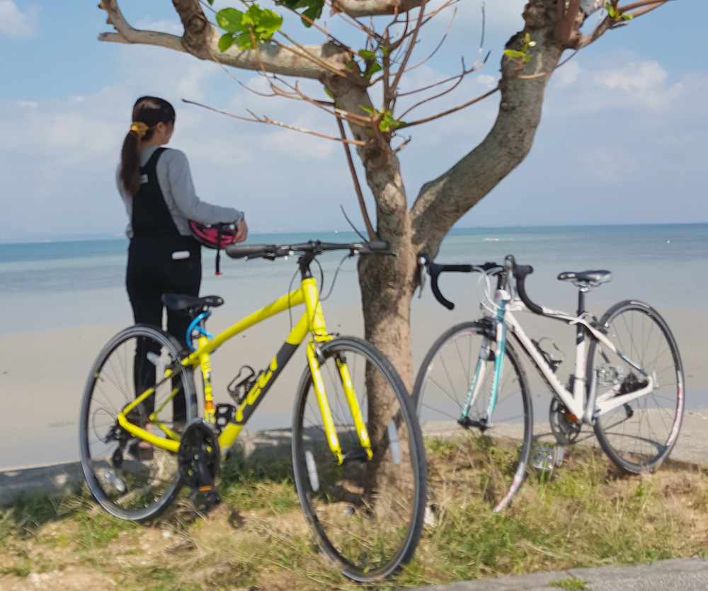 シーフード 押し下げる フィードオン 自転車 沖縄 Garcons Club Jp